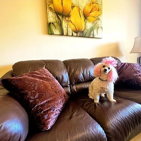 Beautiful Apartment With Pools, Playground And Paddle Tennis - Family Friendly And Near Vithas Hospital - Free Parking In Garage Бенальмадена Экстерьер фото