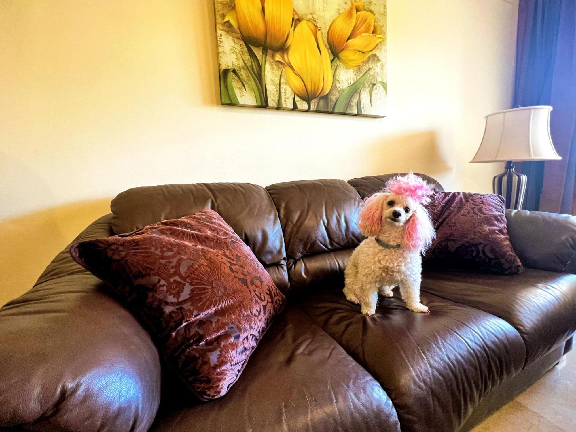 Beautiful Apartment With Pools, Playground And Paddle Tennis - Family Friendly And Near Vithas Hospital - Free Parking In Garage Бенальмадена Экстерьер фото